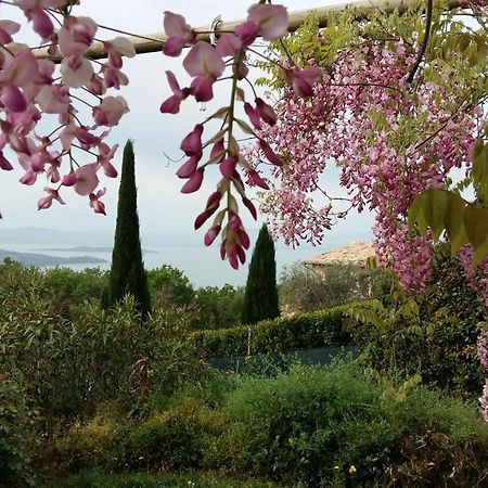 Villa La Moraiola Passignano sul Trasimeno Εξωτερικό φωτογραφία