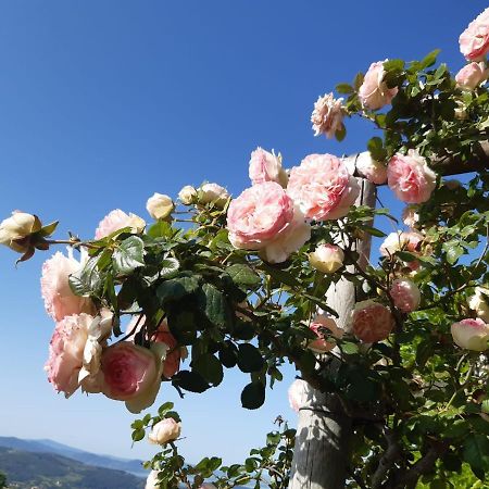Villa La Moraiola Passignano sul Trasimeno Εξωτερικό φωτογραφία