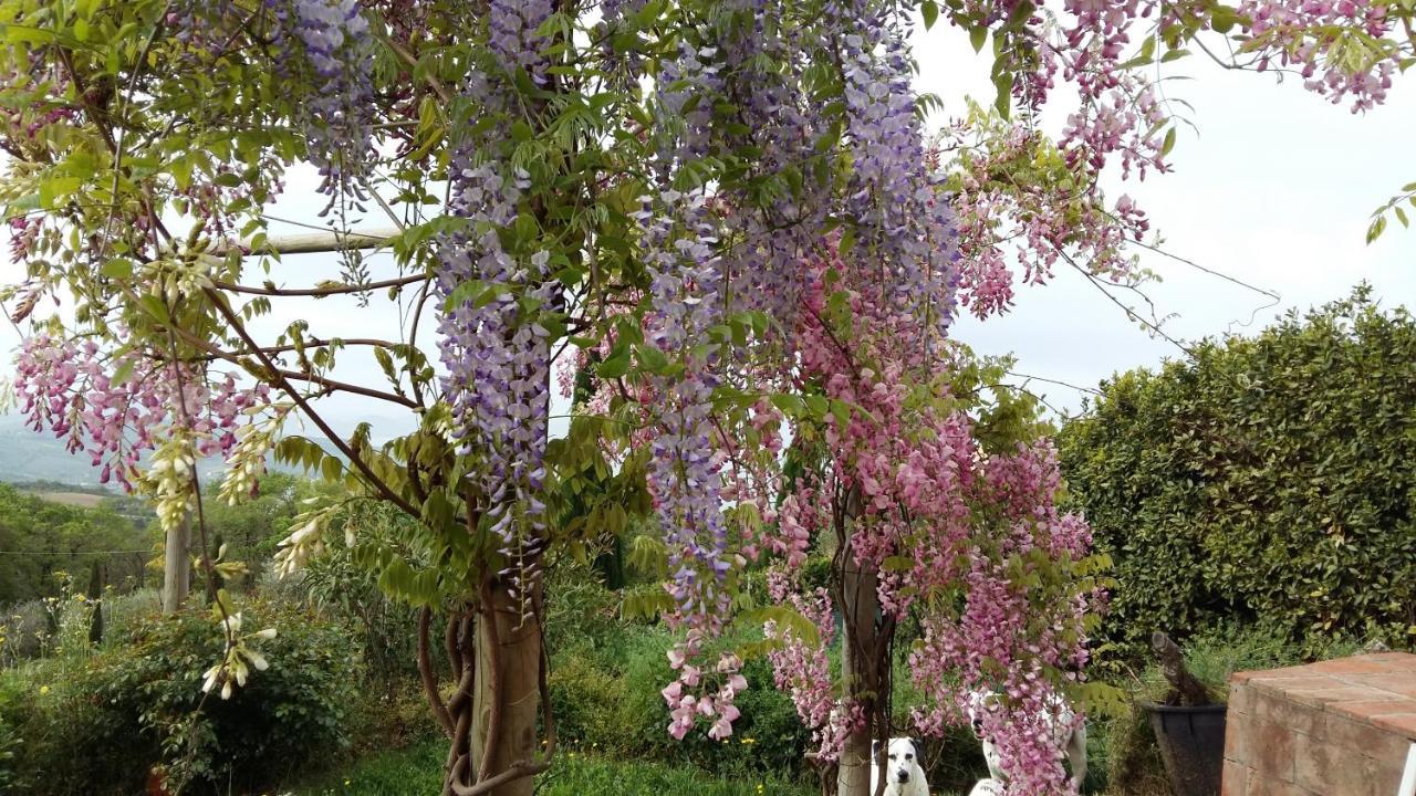 Villa La Moraiola Passignano sul Trasimeno Εξωτερικό φωτογραφία