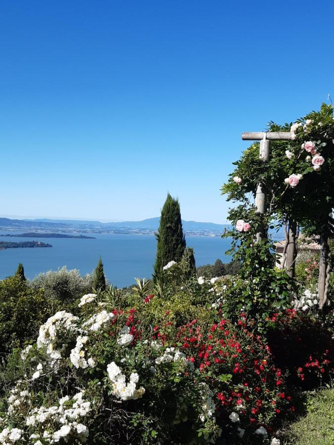 Villa La Moraiola Passignano sul Trasimeno Εξωτερικό φωτογραφία
