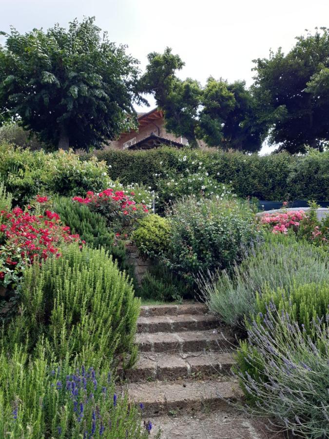Villa La Moraiola Passignano sul Trasimeno Εξωτερικό φωτογραφία