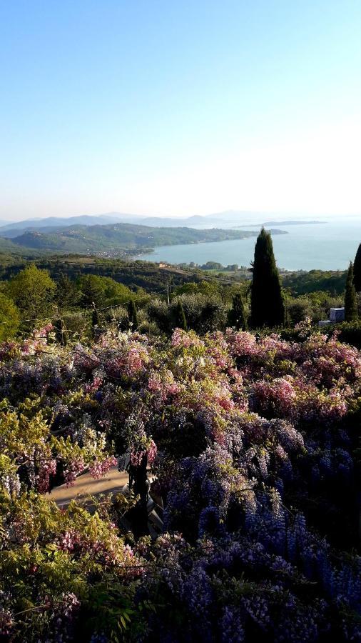 Villa La Moraiola Passignano sul Trasimeno Εξωτερικό φωτογραφία