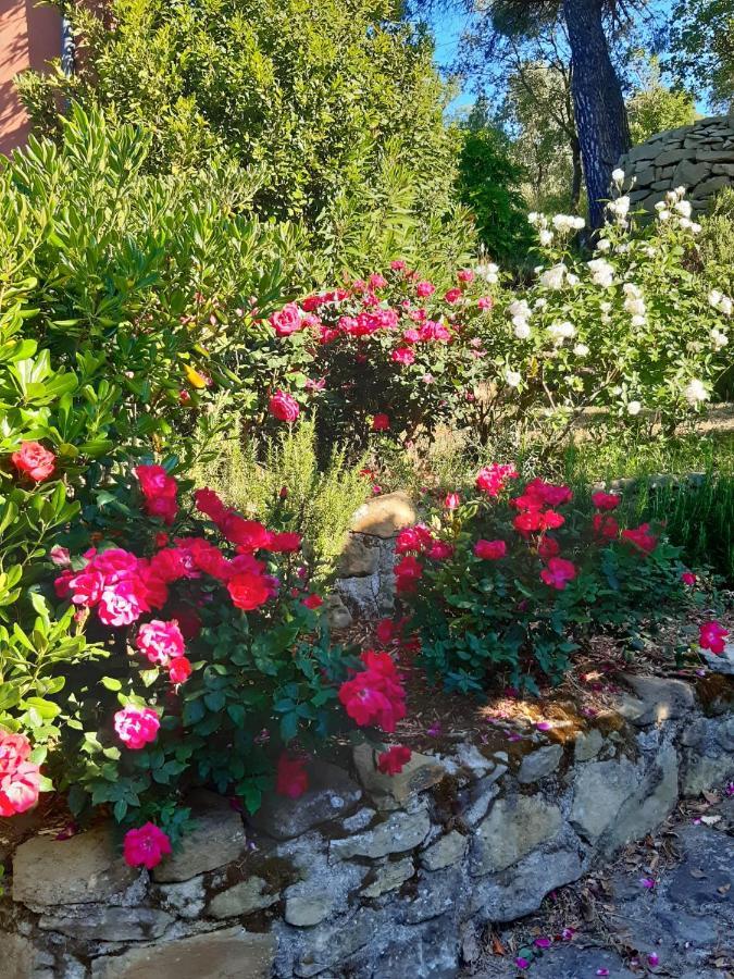 Villa La Moraiola Passignano sul Trasimeno Εξωτερικό φωτογραφία