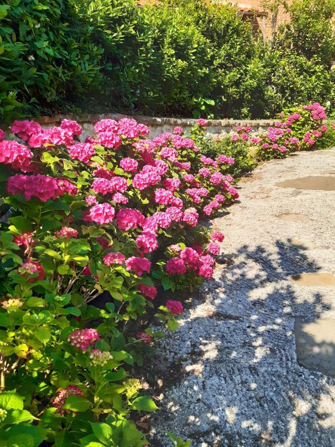Villa La Moraiola Passignano sul Trasimeno Εξωτερικό φωτογραφία