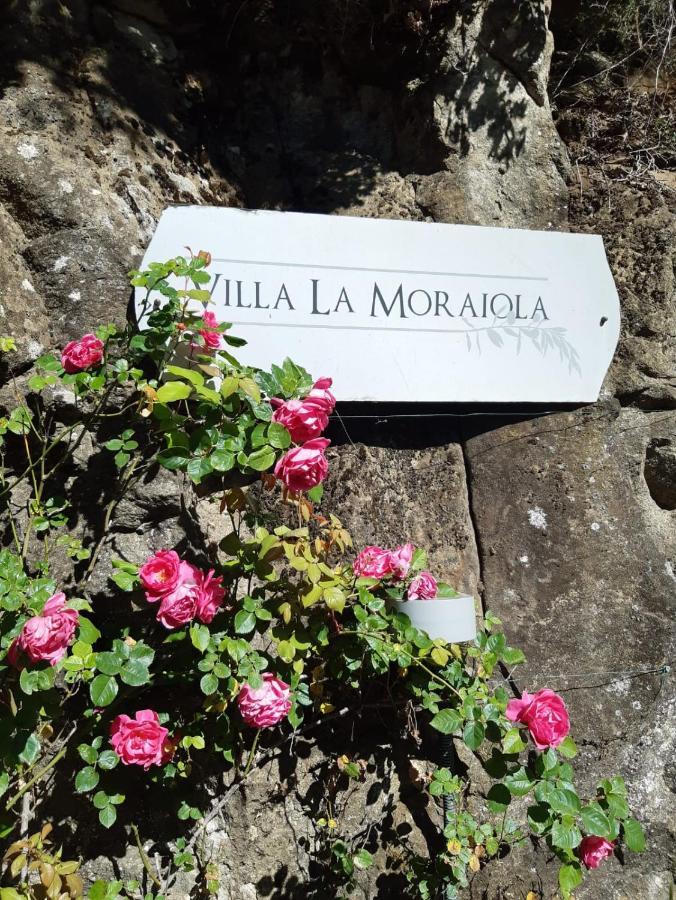 Villa La Moraiola Passignano sul Trasimeno Εξωτερικό φωτογραφία