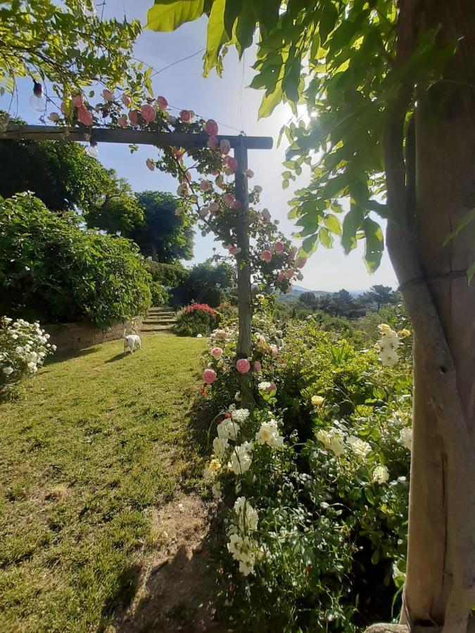 Villa La Moraiola Passignano sul Trasimeno Εξωτερικό φωτογραφία