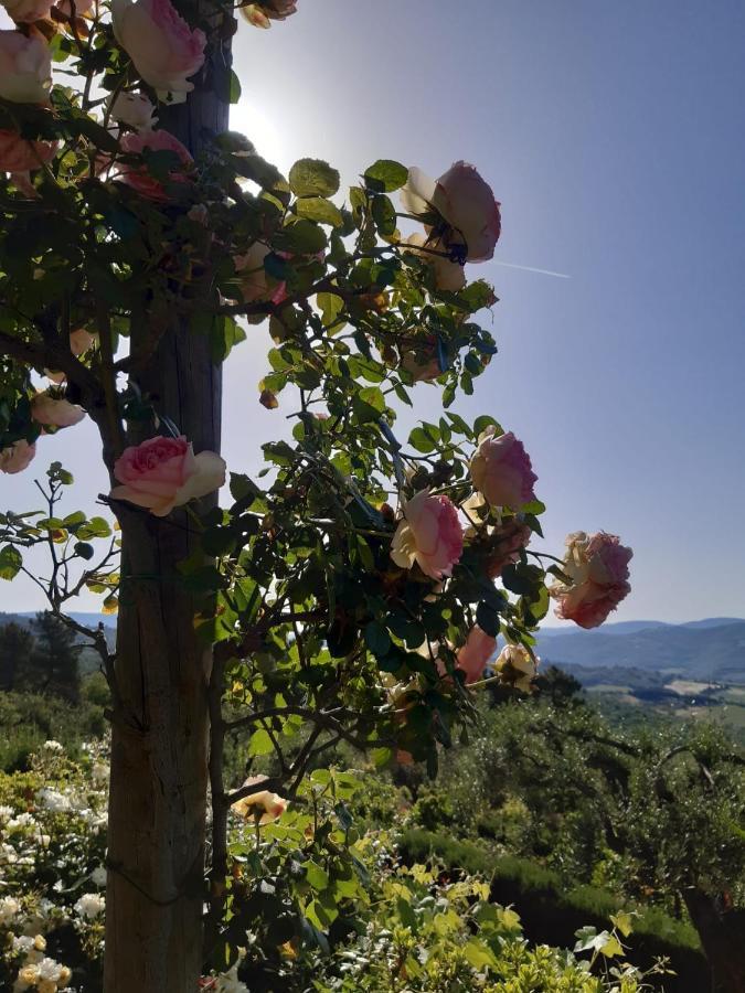 Villa La Moraiola Passignano sul Trasimeno Εξωτερικό φωτογραφία